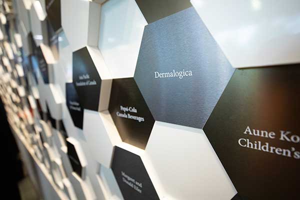 Dermalogica plaque