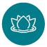 lotus flower icon