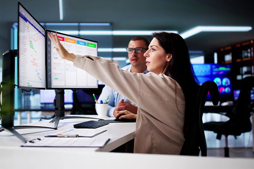 Person showing Graphs on computer