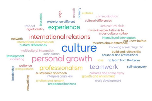 Word cloud of words related to culture and community