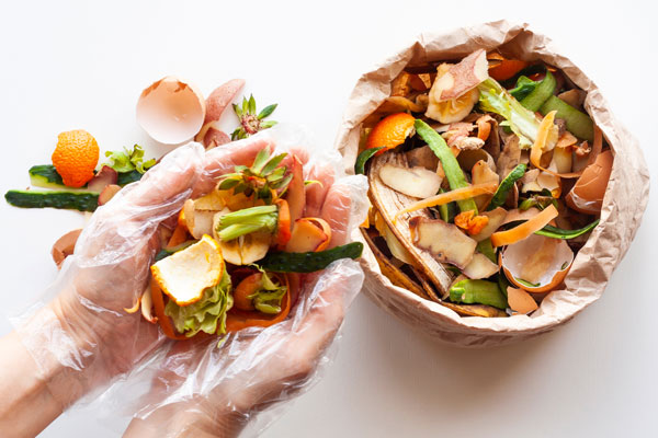 Person's hands holding food scraps
