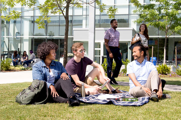 group of students sitting on grass