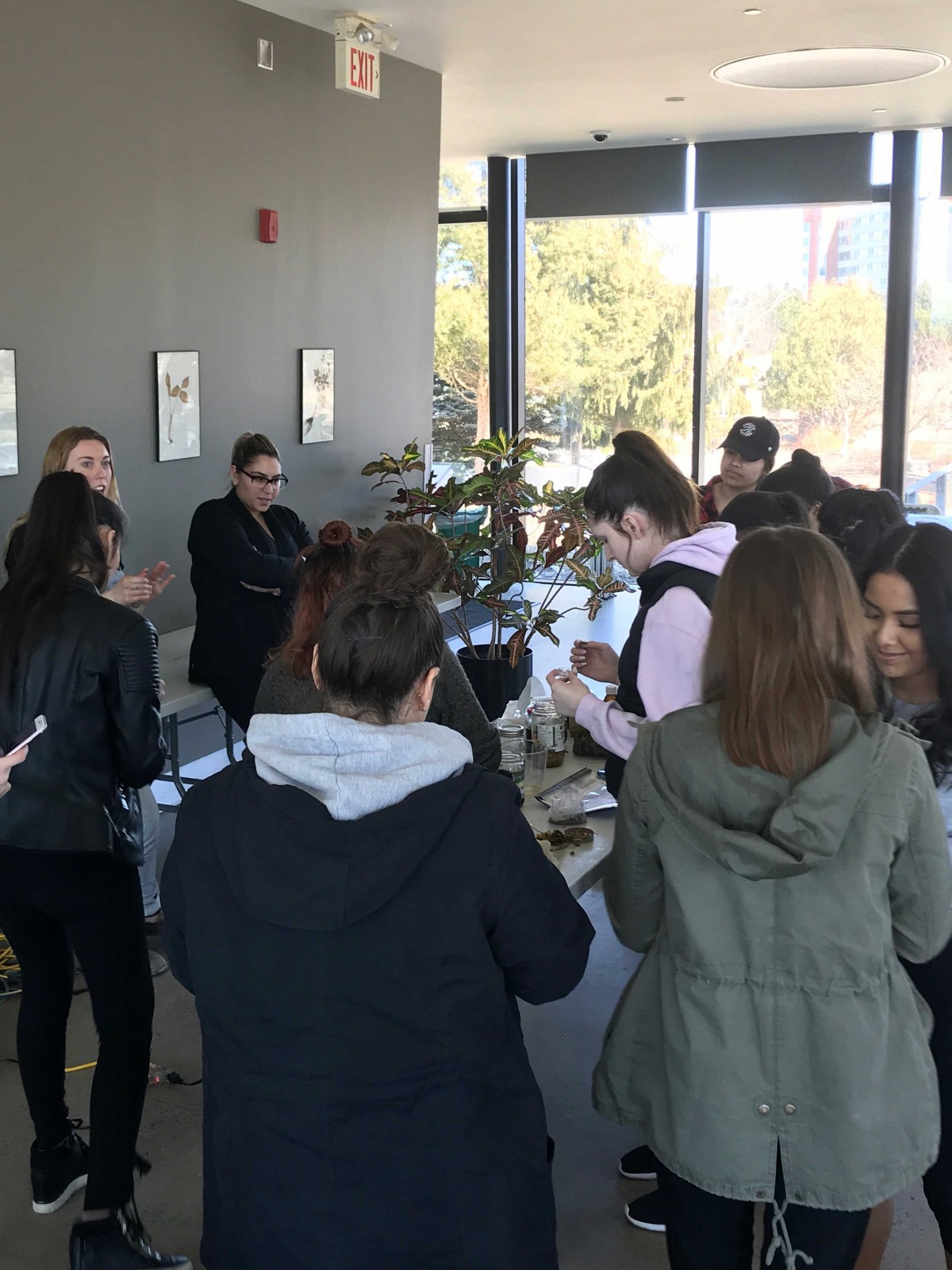 Arboretum workshop