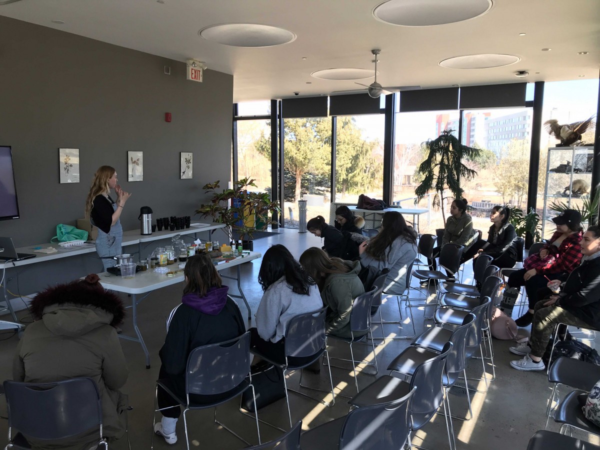 Arboretum workshop